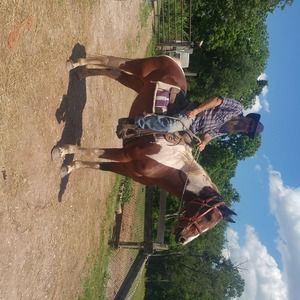 Meet your Posher, Cheryl